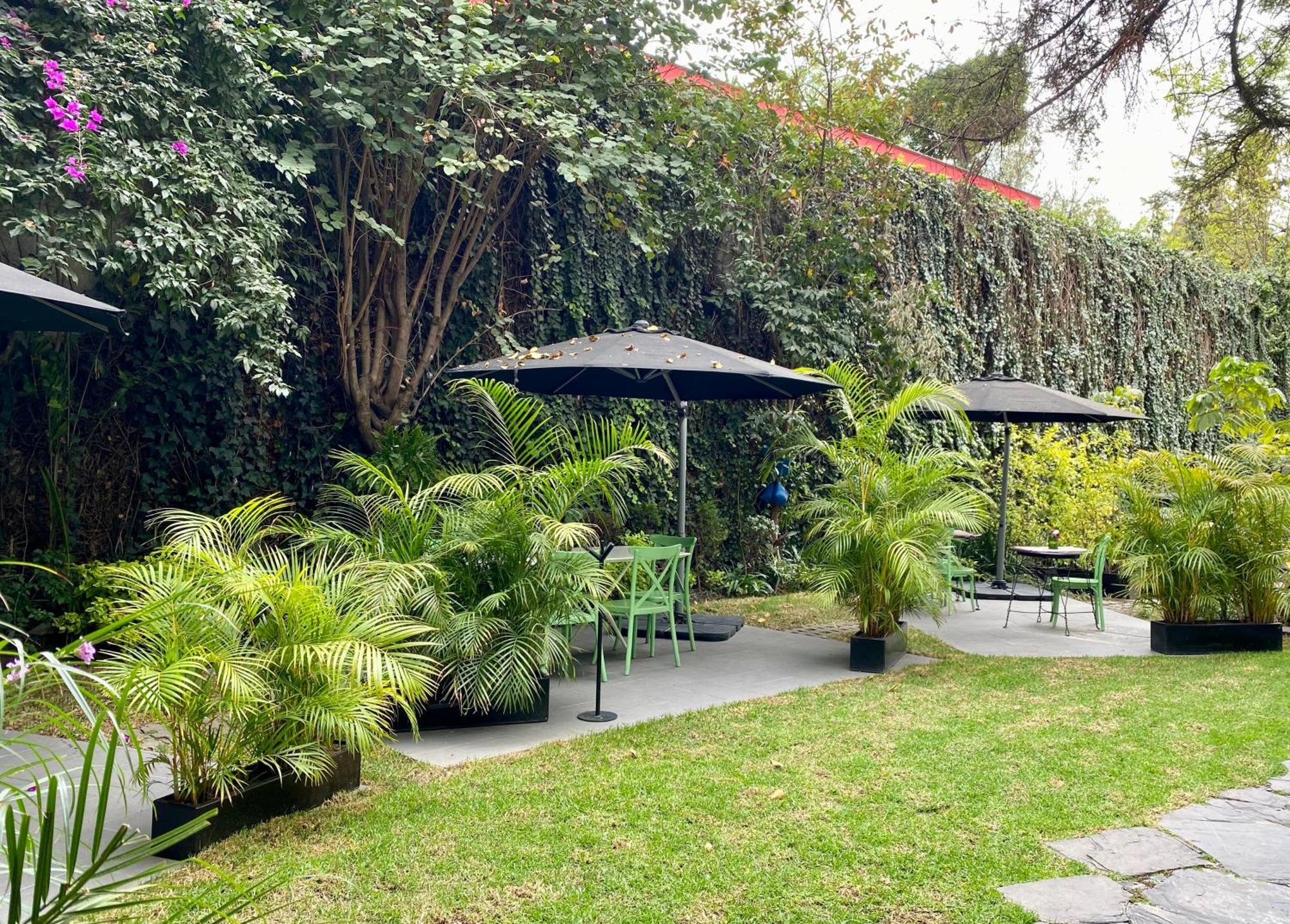 Pug Seal Polanco Anatole France Hotel Мексико Сити Екстериор снимка