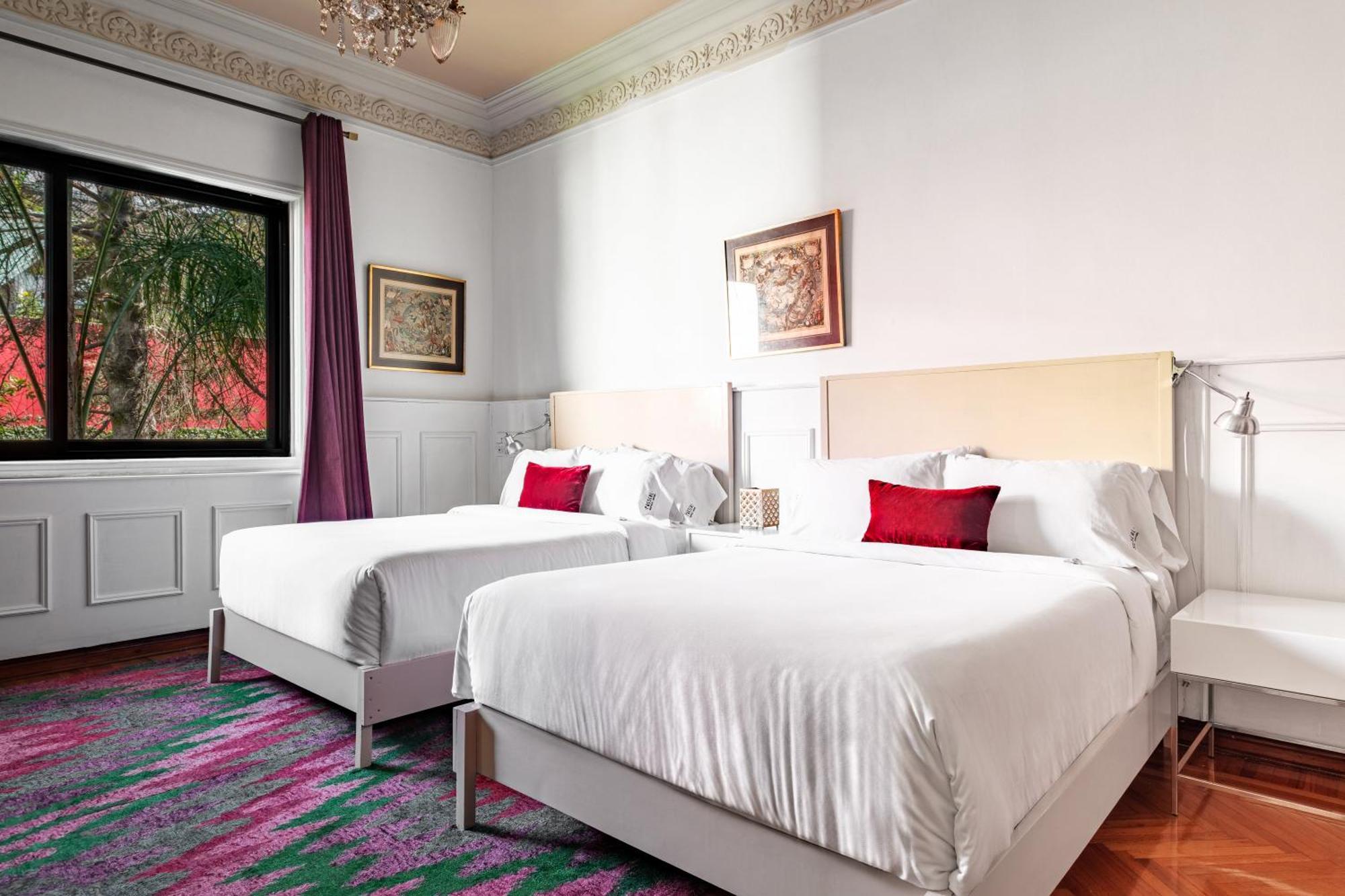 Pug Seal Polanco Anatole France Hotel Мексико Сити Стая снимка
